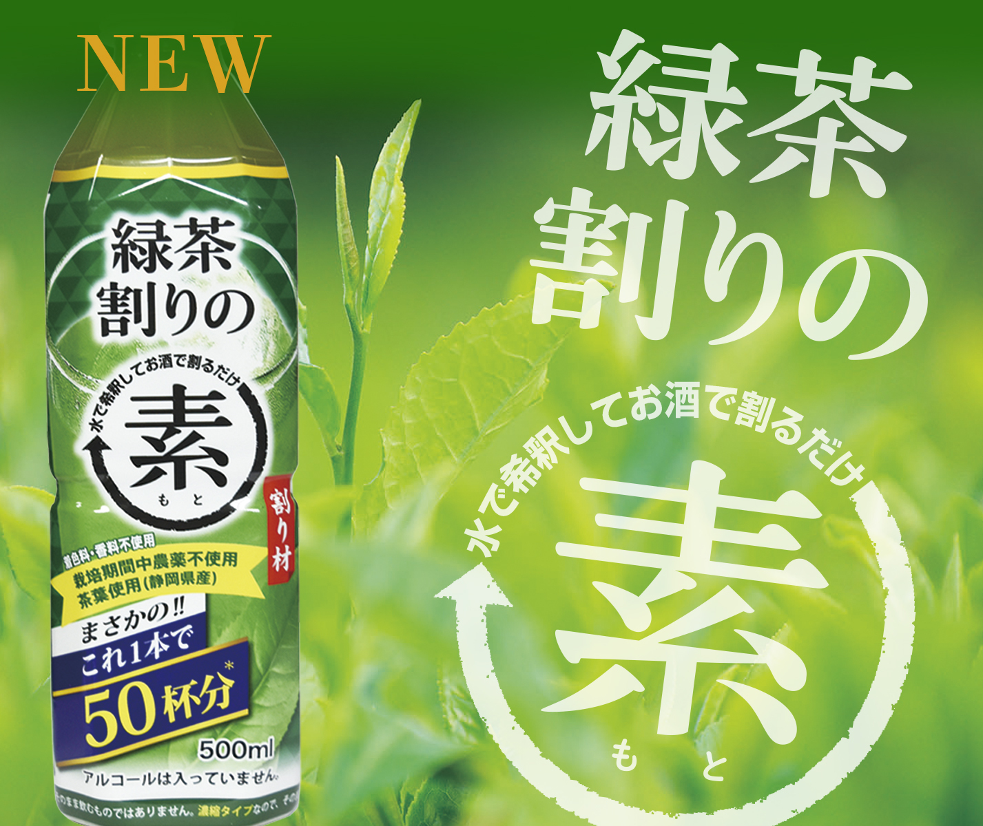 業界初！新商品「緑茶割りの素」新発売いたします！